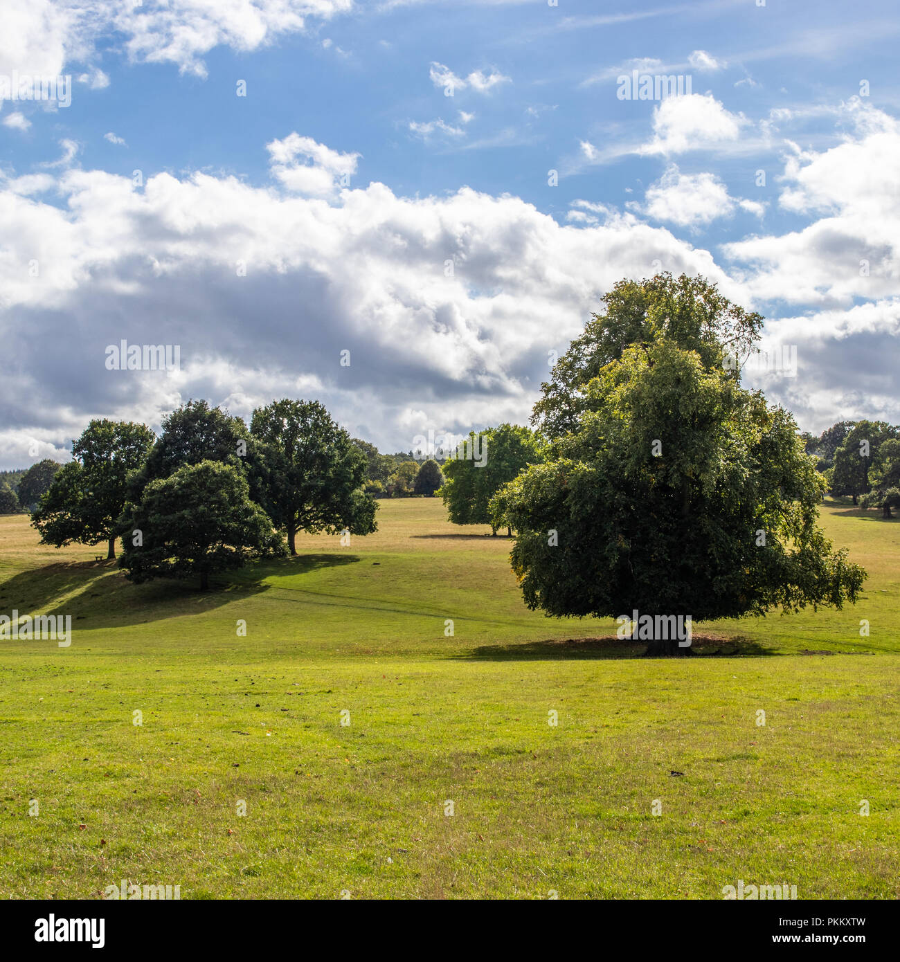 Chatsworth house and estate hires stock photography and images Alamy