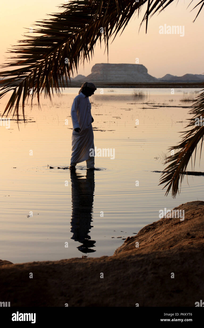 Arab Man Tree Arabic Man walking on the trunk of a fallen palm tree at the Siwa Oasis ...