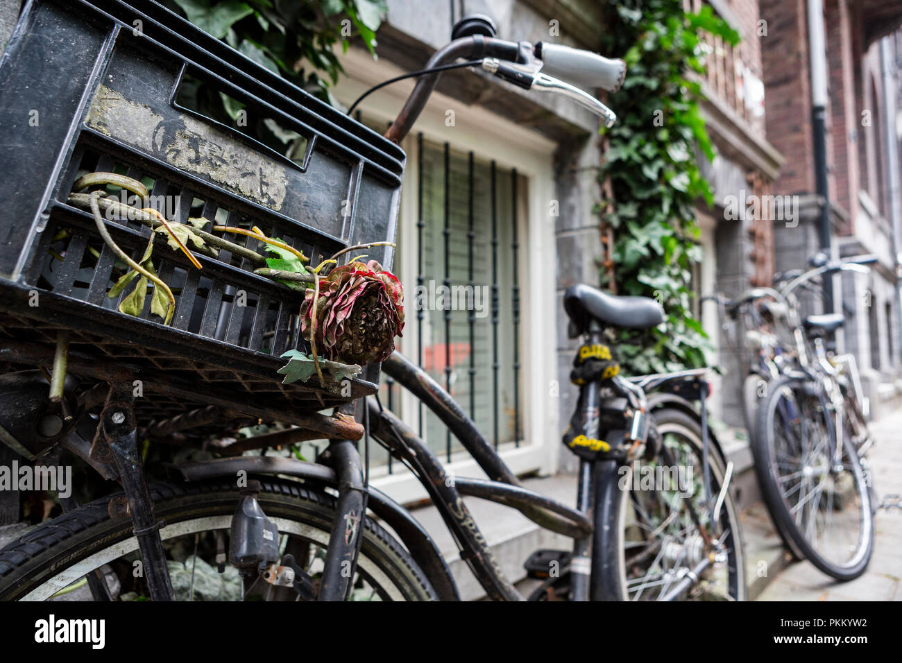 Bike usage in Amsterdam has grown by more than 40 in the last 20 years