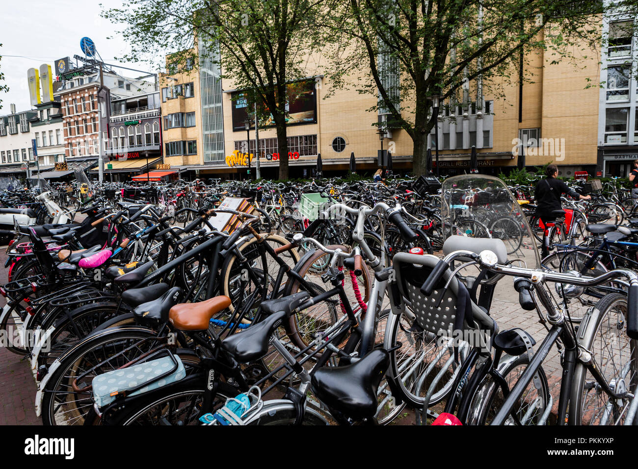Bike usage in Amsterdam has grown by more than 40 in the last 20 years
