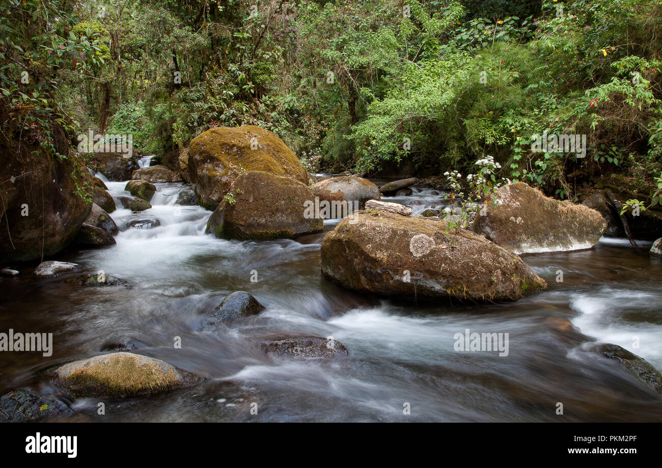 The Savegre river photographed in San Gerardo de Dota, Costa Rica Stock Photo