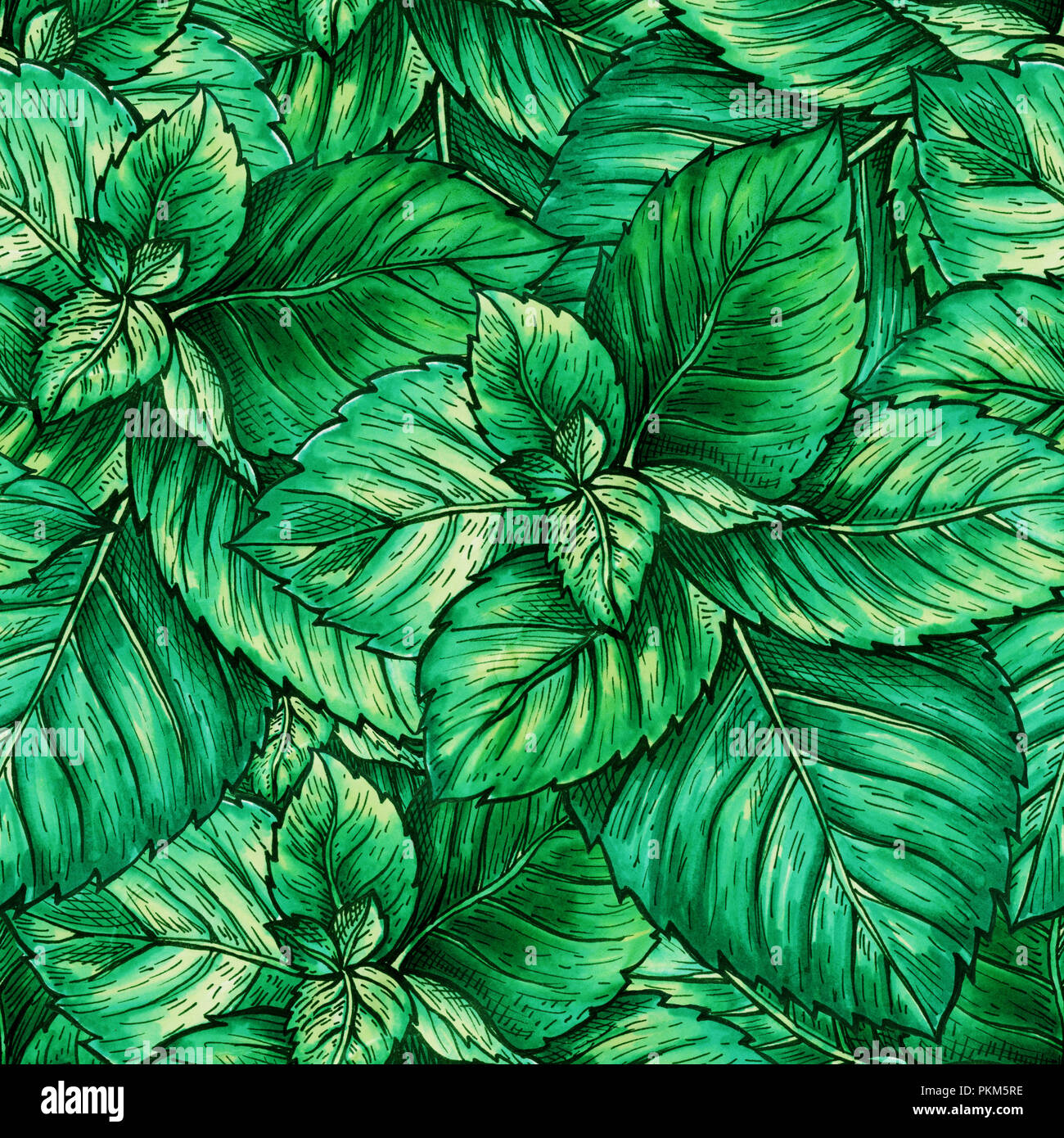 Mint Leaves. Green Spearmint Drawing. Na Graphic by onyxproj · Creative  Fabrica