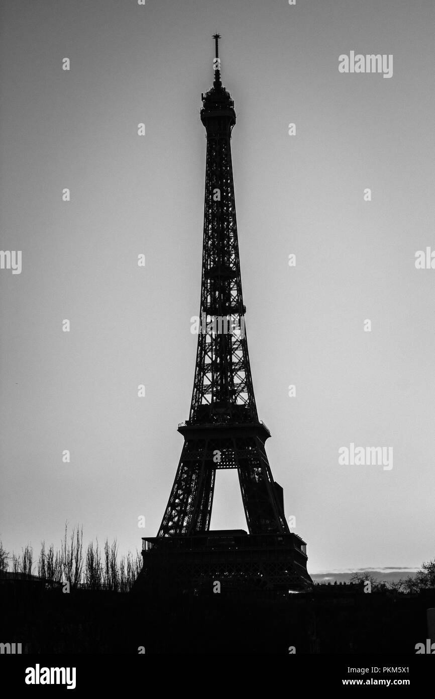 Eiffel Tower B&W Stock Photo
