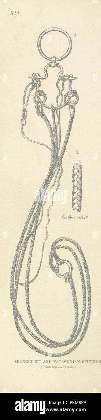 Image from page 582 of 'The Natural History of Man; being an account of ...
