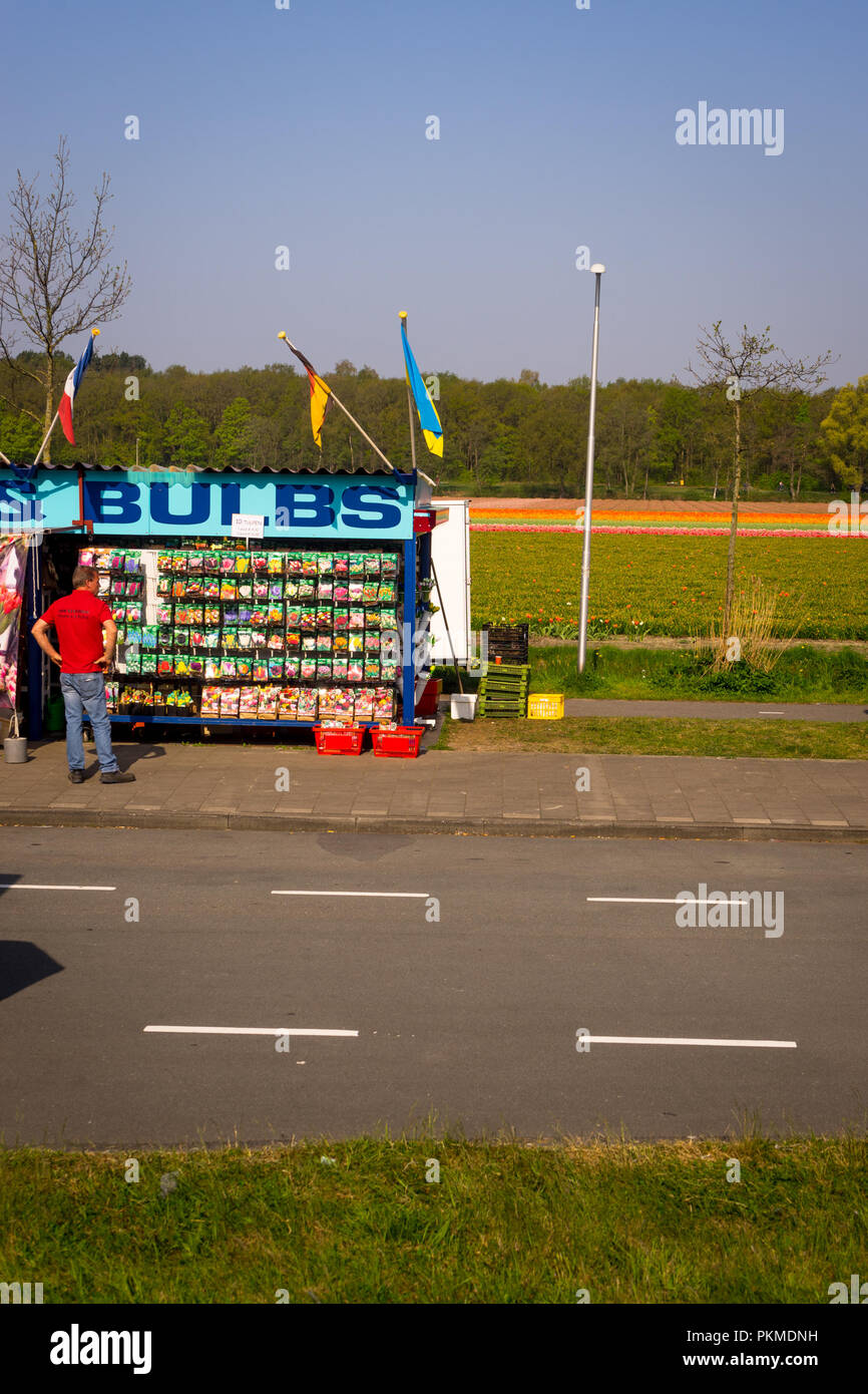 Selling Tulips High Resolution Stock Photography and Images Alamy