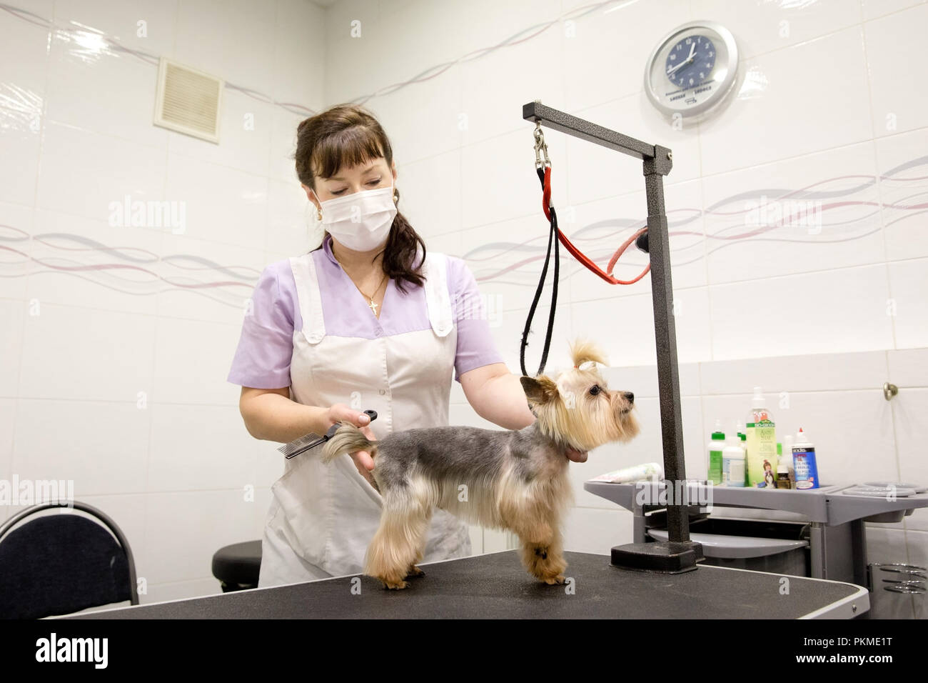 beauty salon for dogs near me