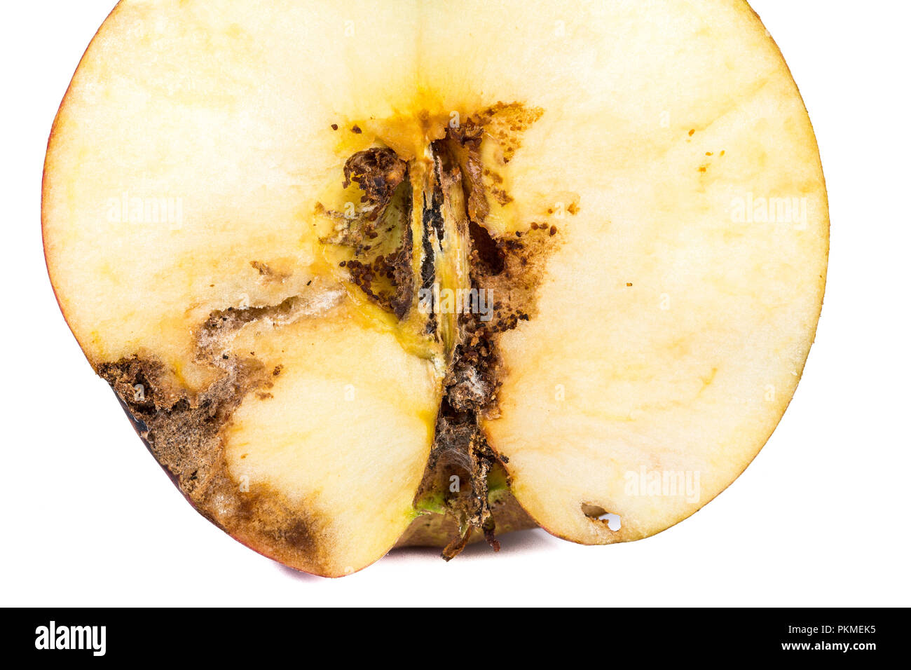 Hole in apple hi-res stock photography and images - Page 9 - Alamy
