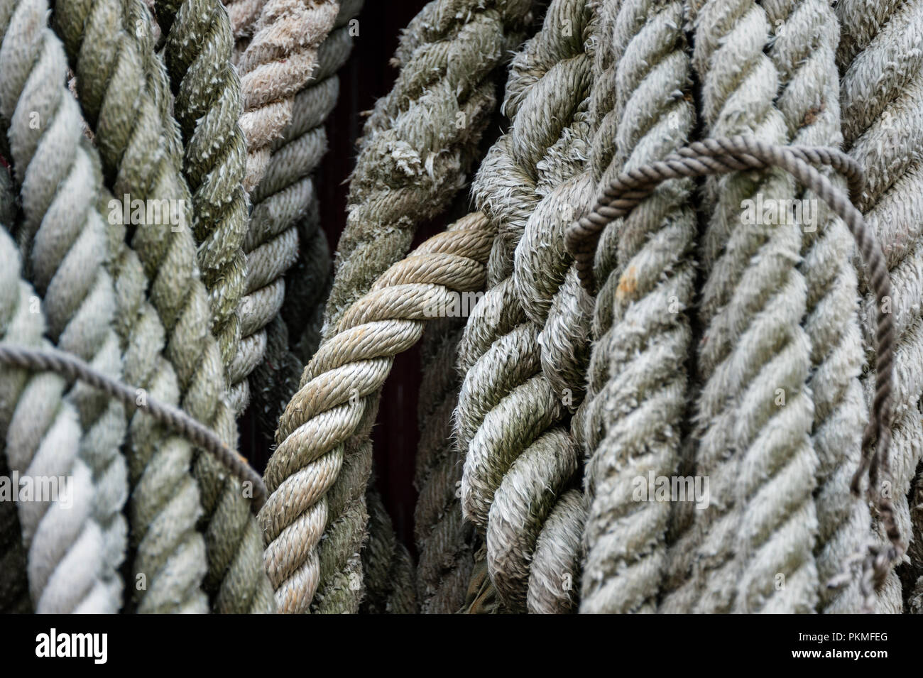Close-up of nautical rope Stock Photo - Alamy