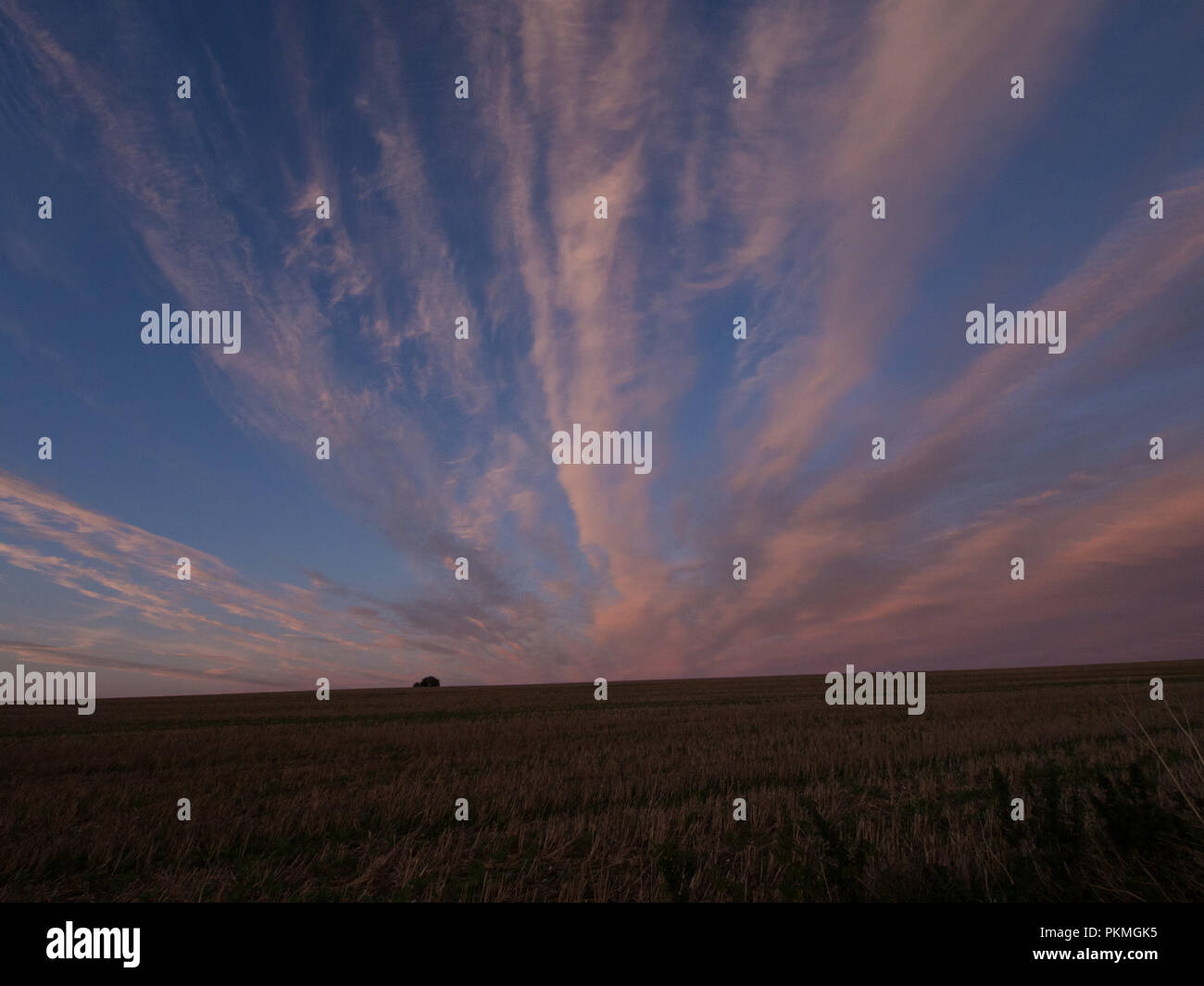 A late summer evening walk above Brixton Deverill in Wiltshire, with