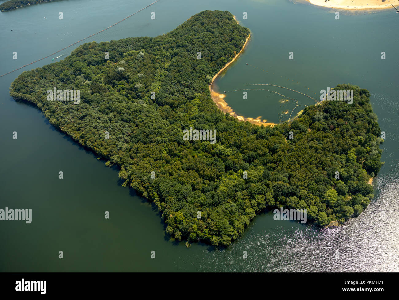 Aerial view, Green lake island, deciduous forest on the island in Halterner Stausee, Haltern am See, Ruhr area Stock Photo
