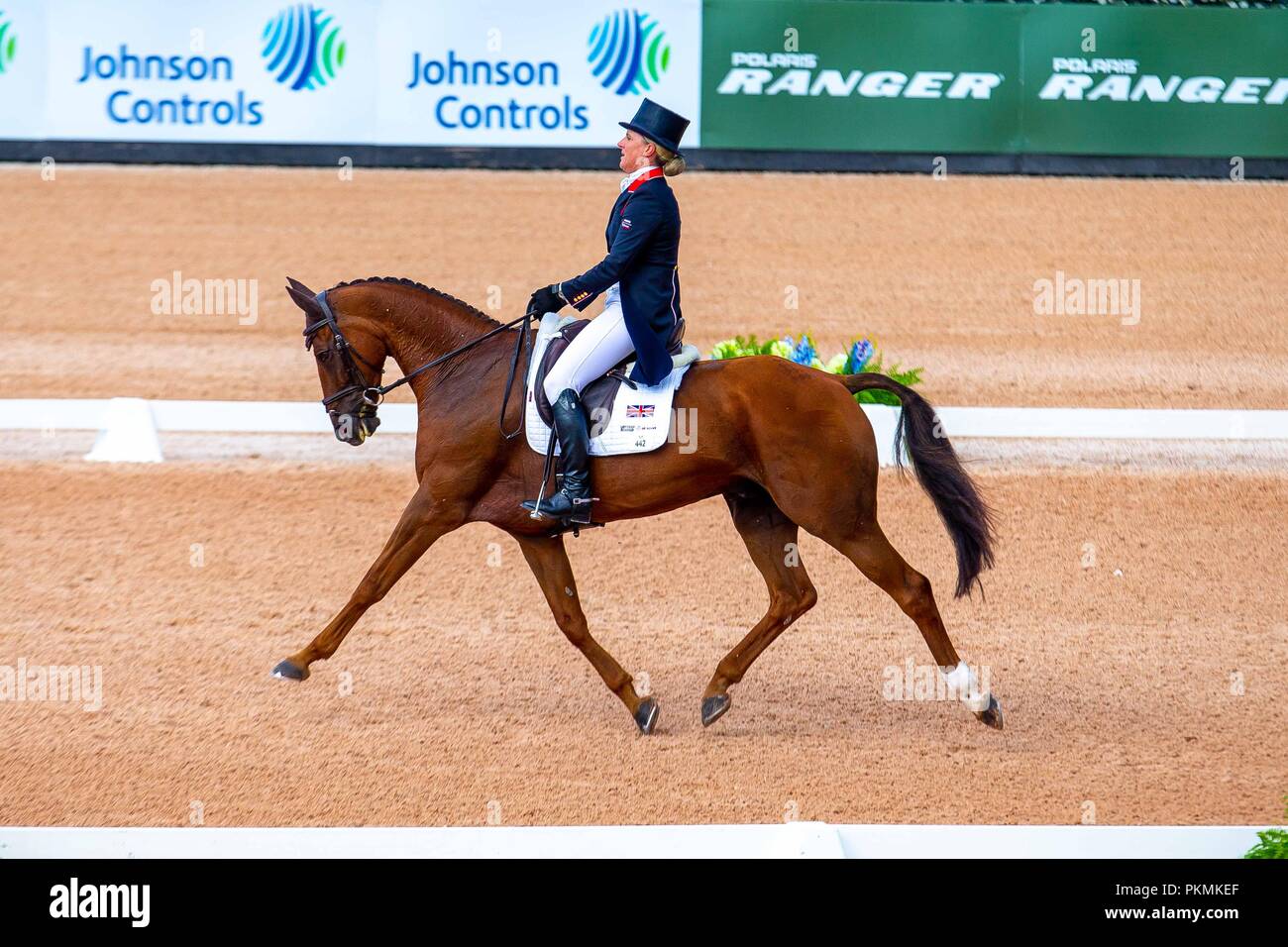 Kristine Cook riding Billy the Red. GBR. Eventing Dressage. Day 3. World Equestrian Games. WEG 2018 Tryon. North Carolina. USA. 13/09/2018. Stock Photo