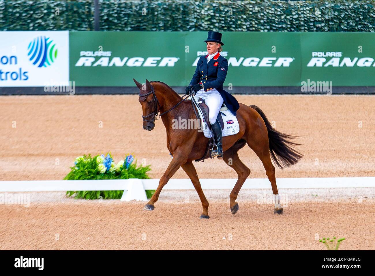 Kristine Cook riding Billy the Red. GBR. Eventing Dressage. Day 3. World Equestrian Games. WEG 2018 Tryon. North Carolina. USA. 13/09/2018. Stock Photo