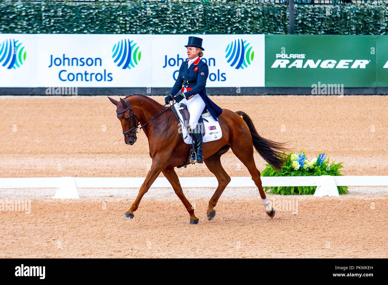 Kristine Cook riding Billy the Red. GBR. Eventing Dressage. Day 3. World Equestrian Games. WEG 2018 Tryon. North Carolina. USA. 13/09/2018. Stock Photo