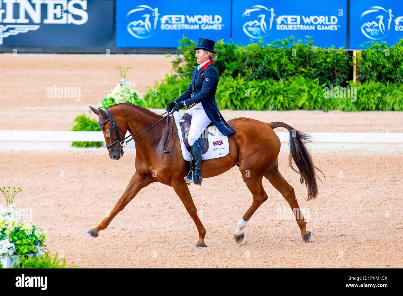 Kristine Cook riding Billy the Red. GBR. Eventing Dressage. Day 3. World Equestrian Games. WEG 2018 Tryon. North Carolina. USA. 13/09/2018. Stock Photo