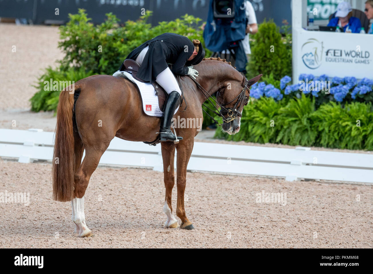 Tryon, USA. 13th Sep, 2018. Equestrian, FEI World Equestrian Game 2018, Grand Prix de Dressage: Isabell Werth cheering while on her horse Bella Rose. Credit: Stefan Lafrentz/dpa/Alamy Live News Stock Photo