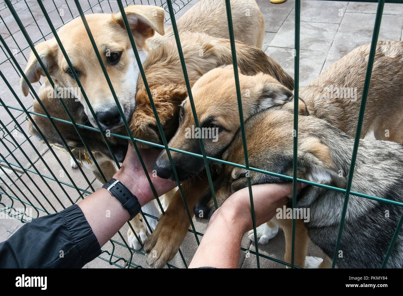 Is there a shelter in Moscow for mother and child Is there a shelter in Moscow for mother and child