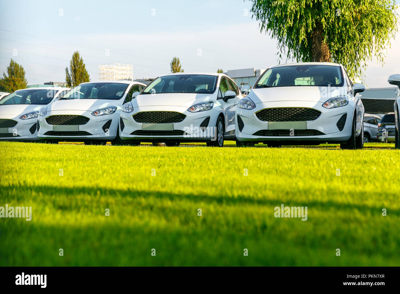 Row of brand new white cars in stock at the car dealership. Unsold cars for sale. Stock Photo