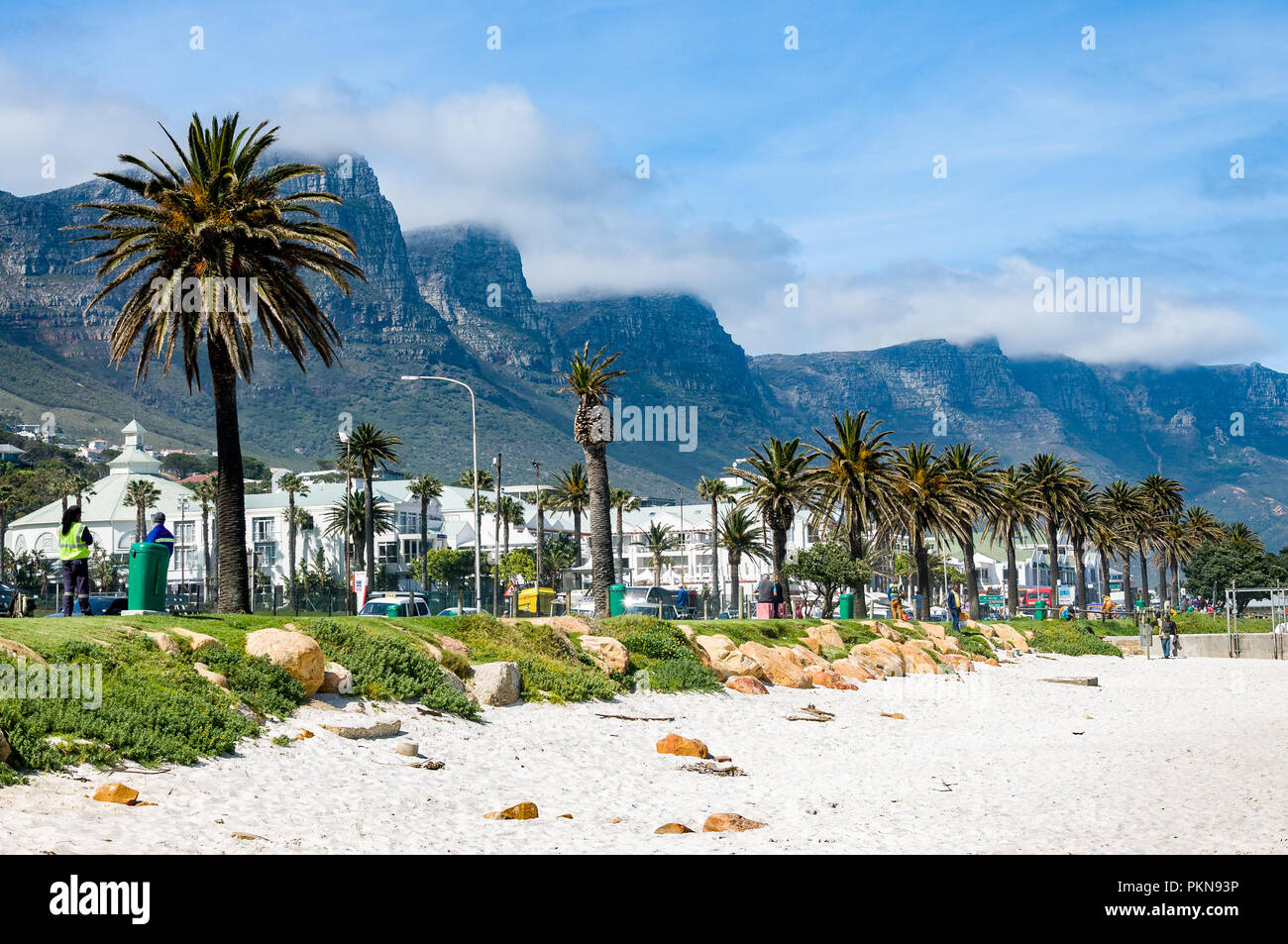 The beach and palm trees with clouded Table Mountain, Camps Bay, South Africa Stock Photo