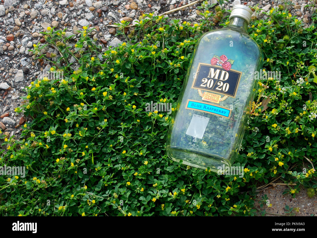 Jug Of Md 20 20