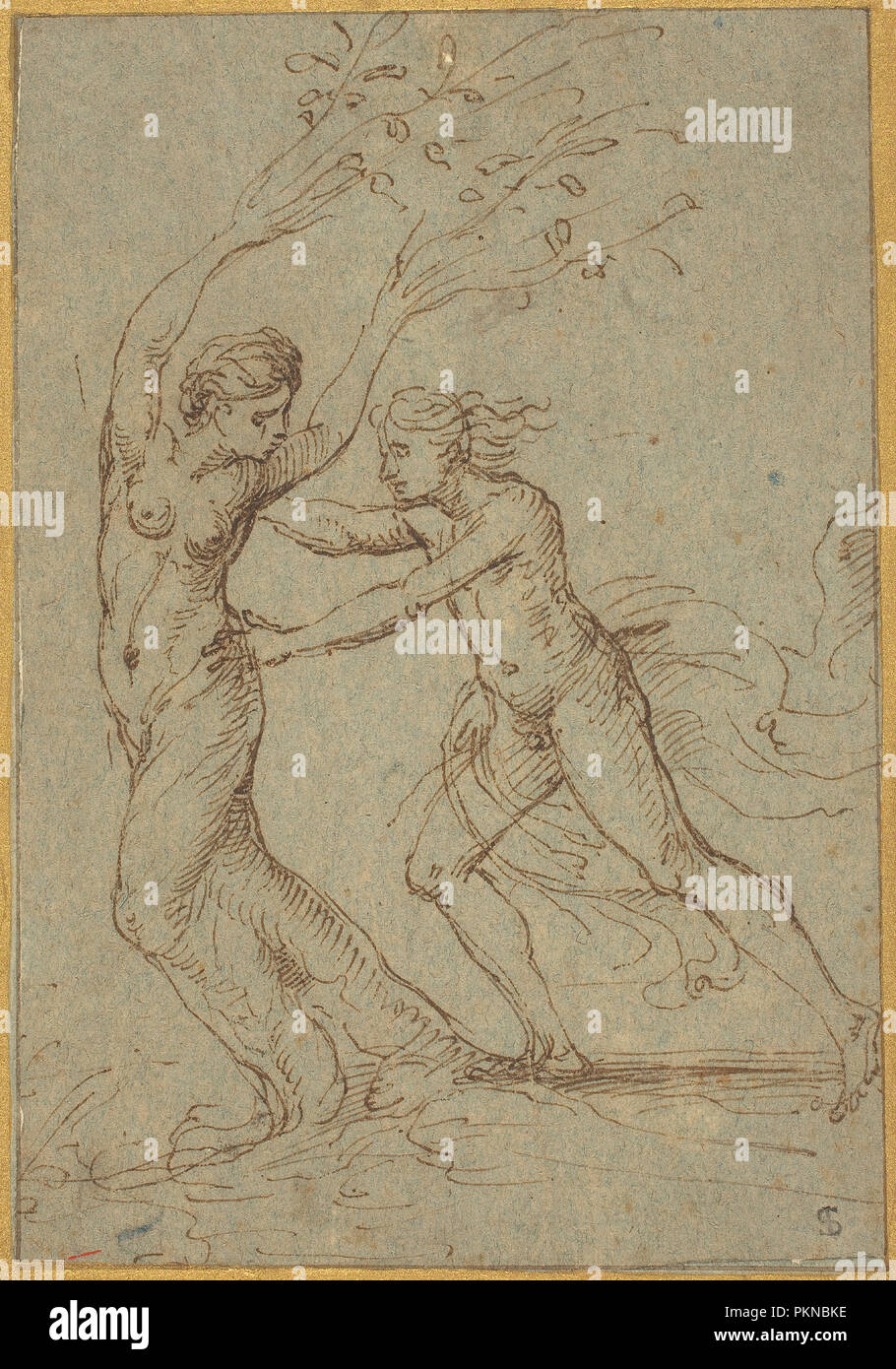 Apollo and Daphne. Dimensions: sheet: 15.1 x 10.4 cm (5 15/16 x 4 1/8 in.). Medium: pen and brown ink on green-blue laid paper. Museum: National Gallery of Art, Washington DC. Author: Follower of Giulio Romano. Stock Photo