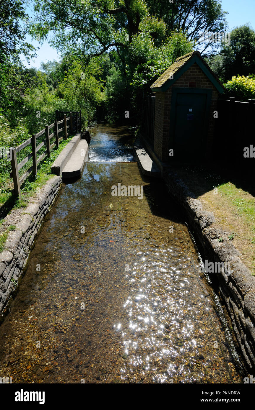River Mimram, Whitwell, Hertfordshire Stock Photo Alamy