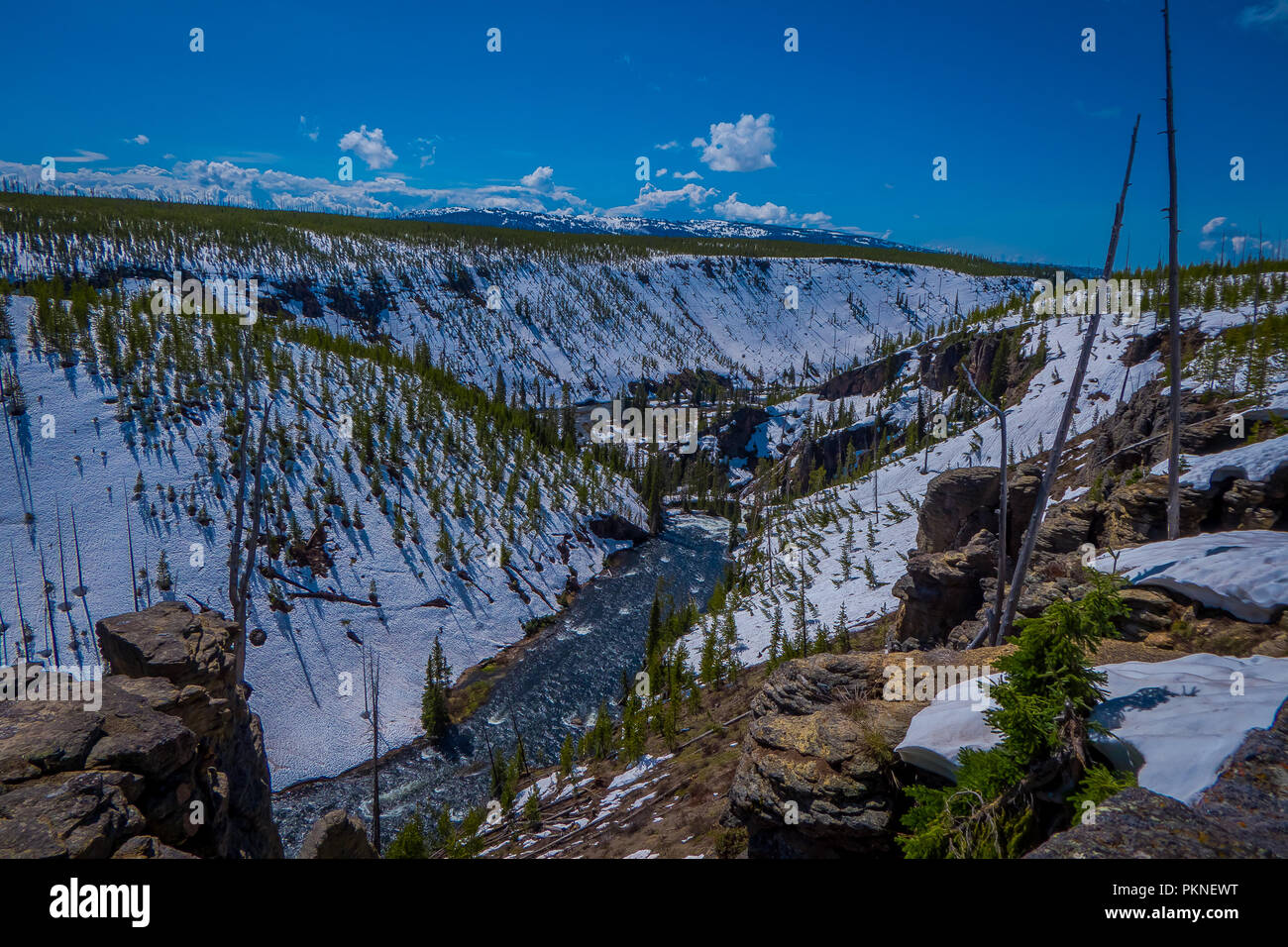 Aerial view of lower falls, most popular waterfall in Yellowstone, are sits in head of the Grand Canyon in the Riverat Yellowstone National Park, Wyoming Stock Photo