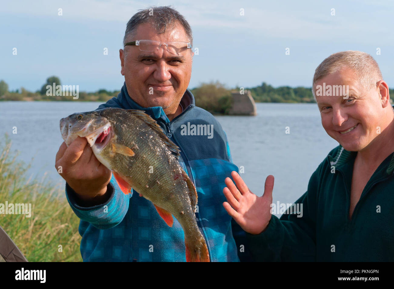 Kaliningrad region, Russia, August 19, 2018, two fishermen caught a perch, a man shows a fish catch Stock Photo