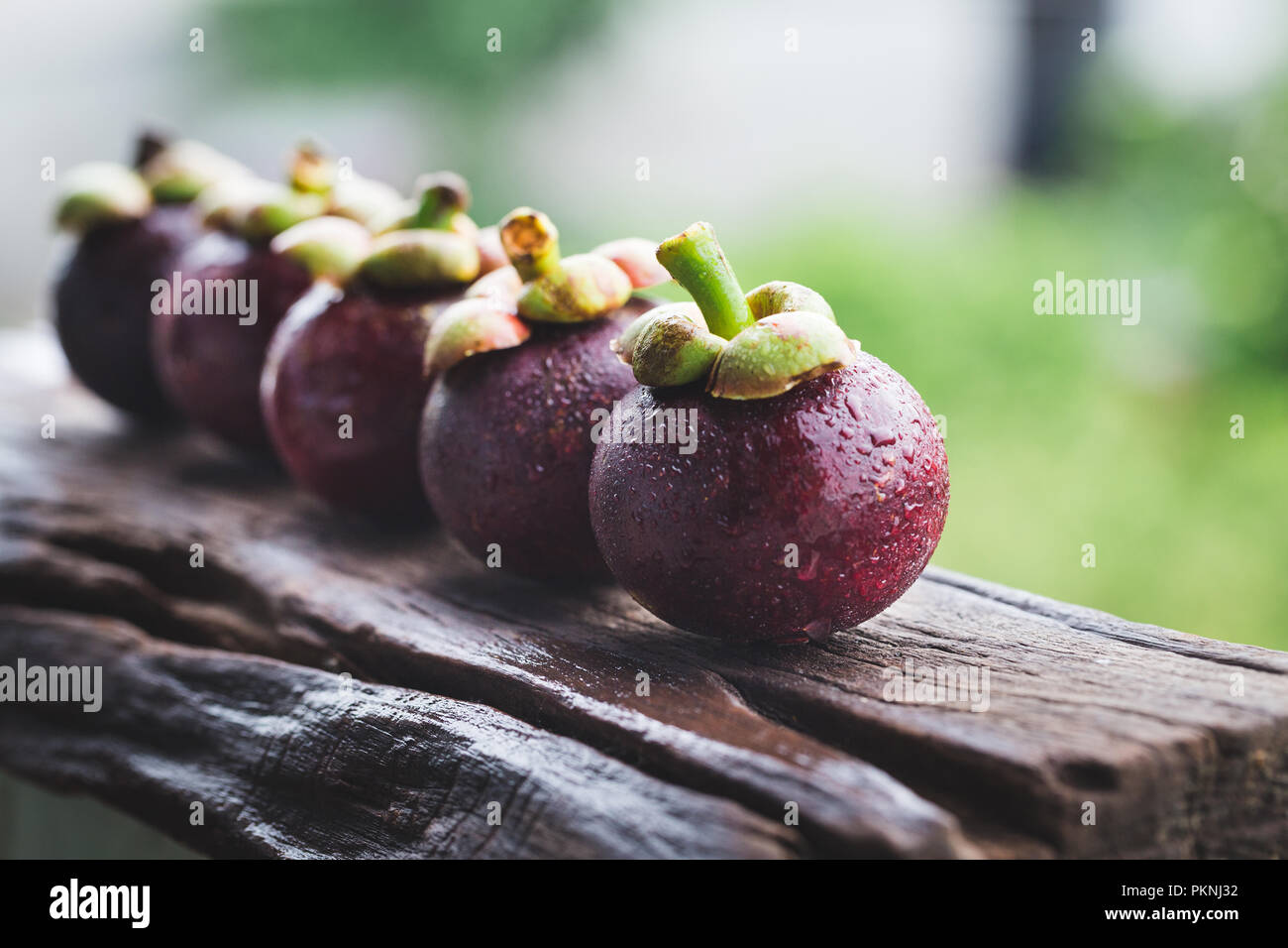 Fresh mangosteen fruits Stock Photo Alamy