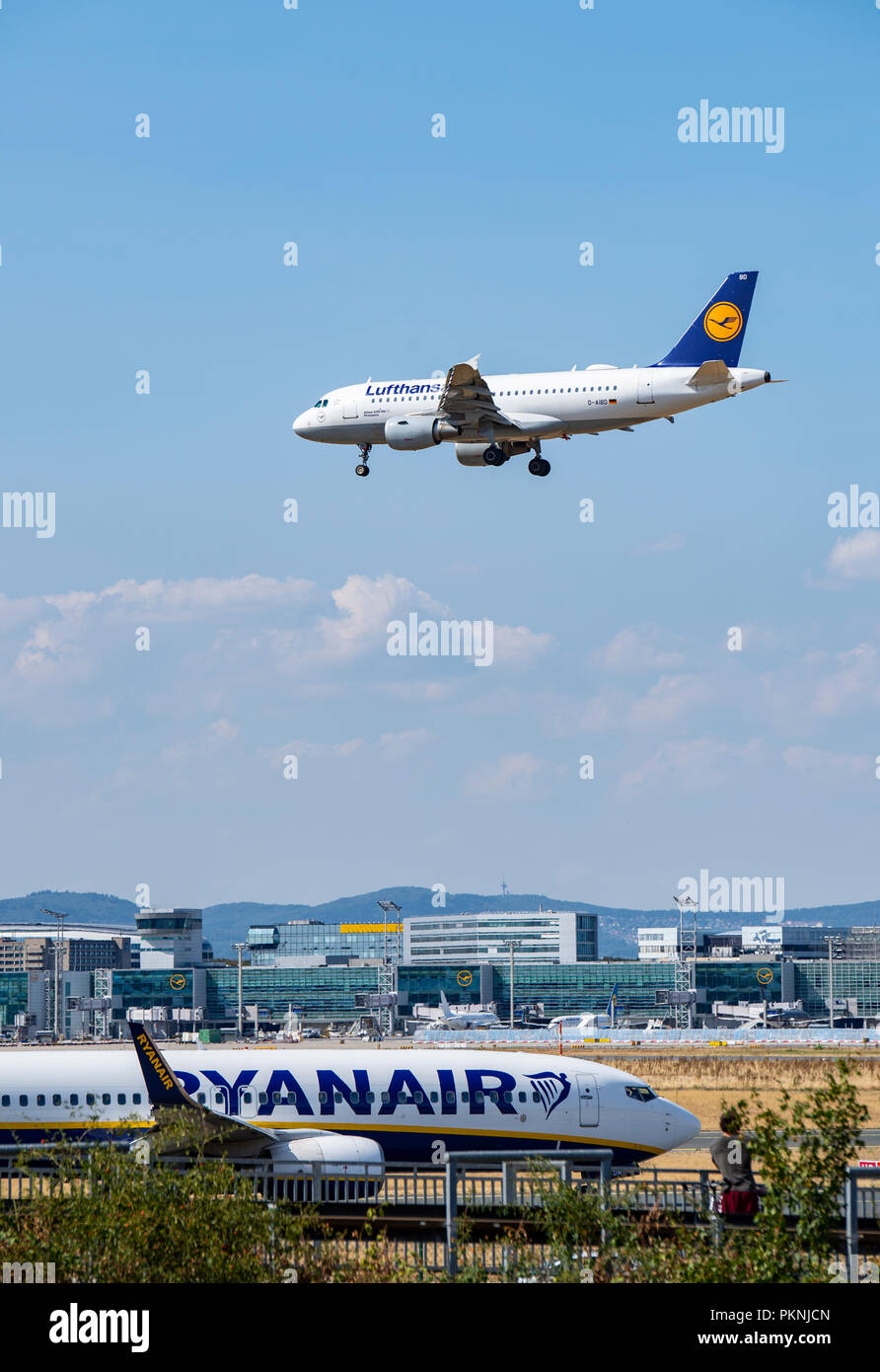 Airplanes of Lufthansa (D-AIBD) and Ryanair at Frankfurt airport Stock Photo