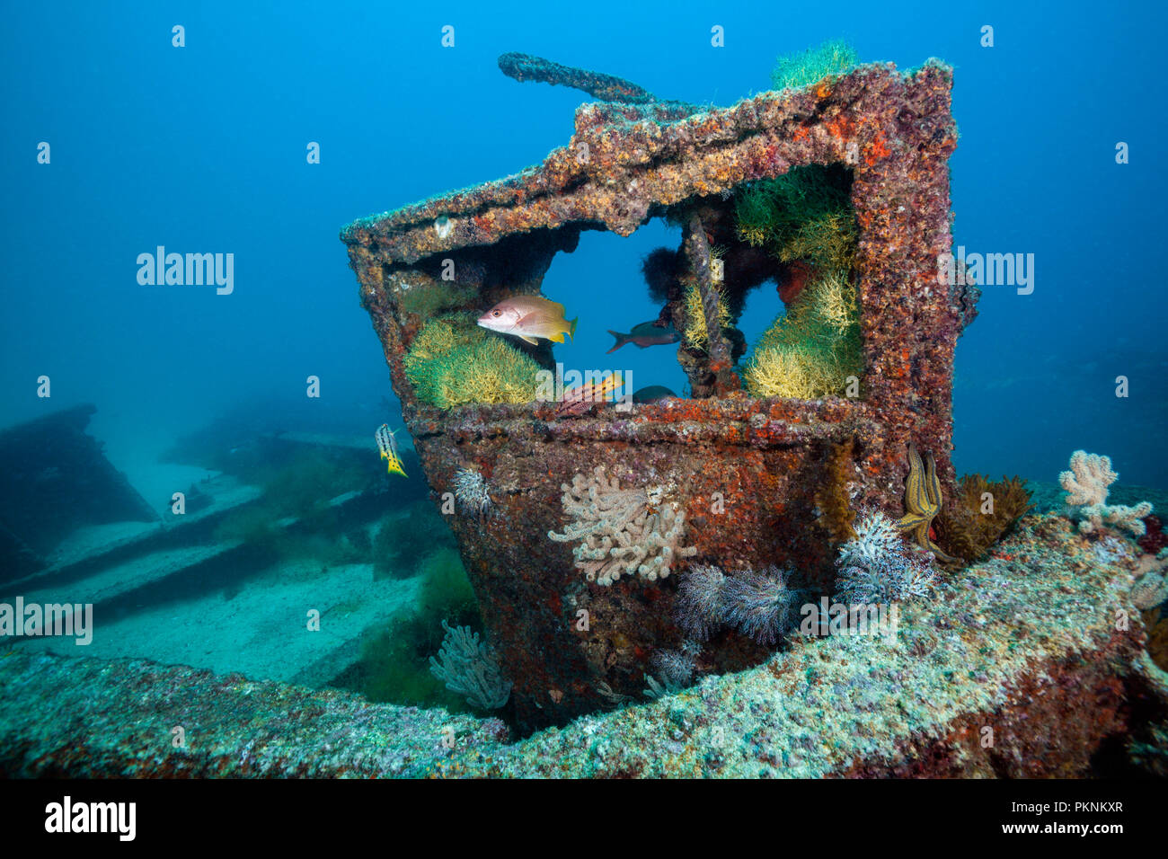 Wreckage of Salvatierra Wreck, La Paz, Baja California Sur, Mexico Stock Photo