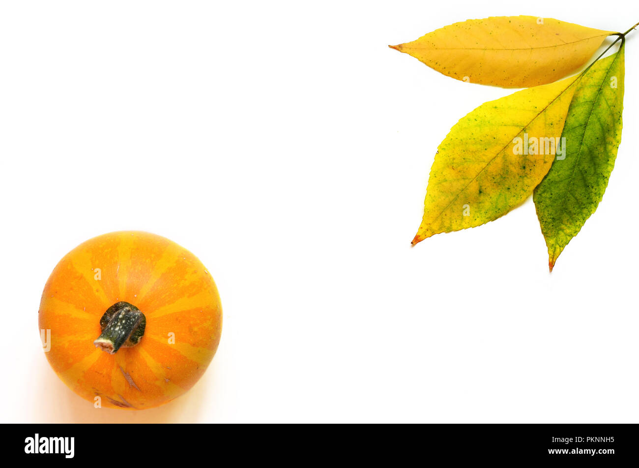 Fall leaves with pumpkin on white background Stock Photo - Alamy
