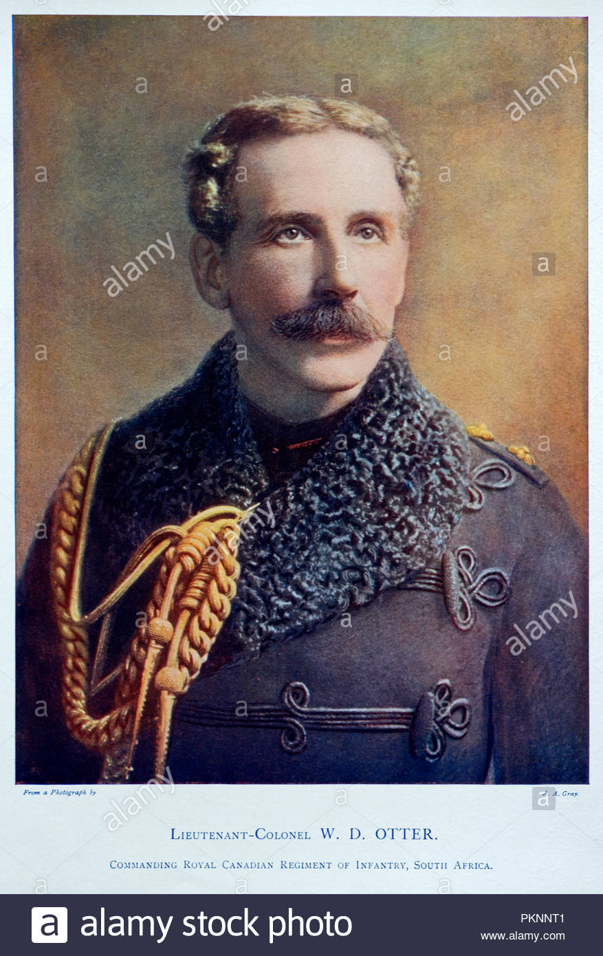 Lieutenant-Colonel W.D. Otter, 1843 – 1929, was a professional Canadian soldier who became the first Canadian-born Chief of the General Staff, the head of the Canadian Militia. Colour illustration from 1900 Stock Photo