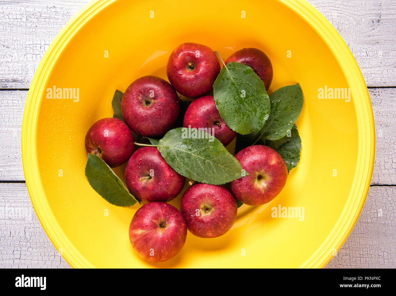 Few wet ripe red apples with green leaves in bright round yellow plastic washbowl covered by water drops and placed on white old wooden table. View fr Stock Photo