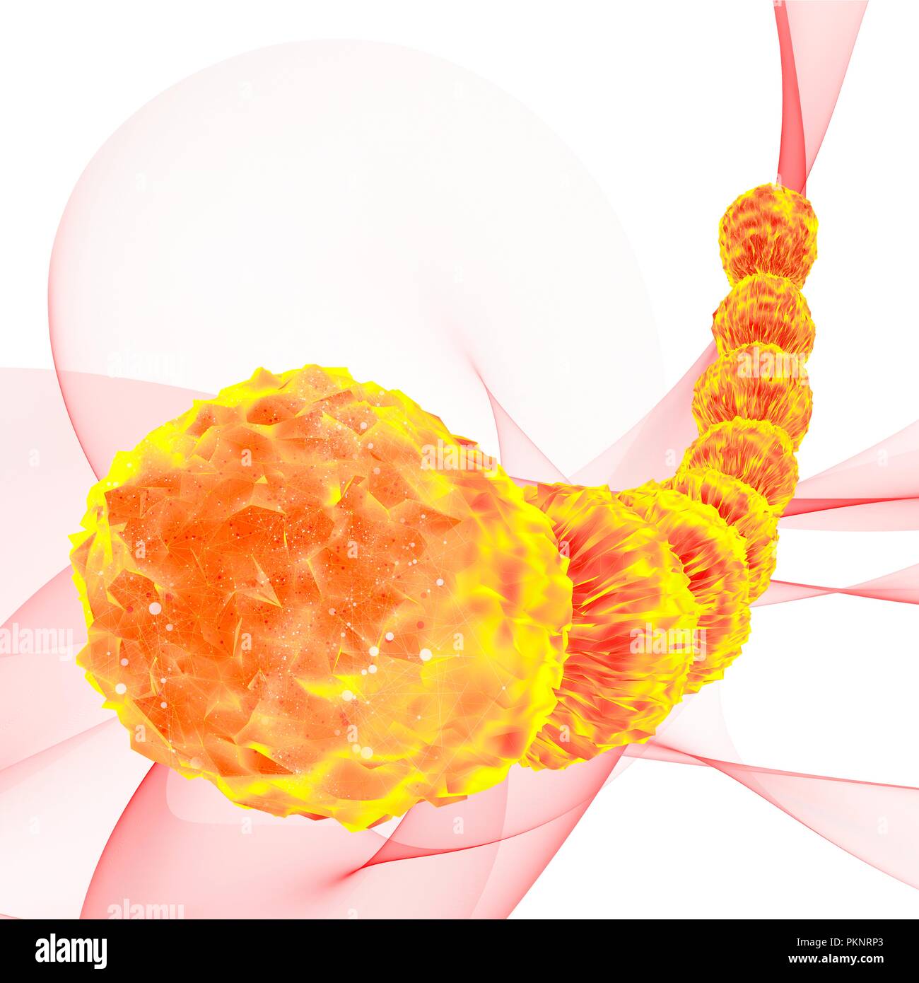 Orange archaea, illustration Stock Photo - Alamy