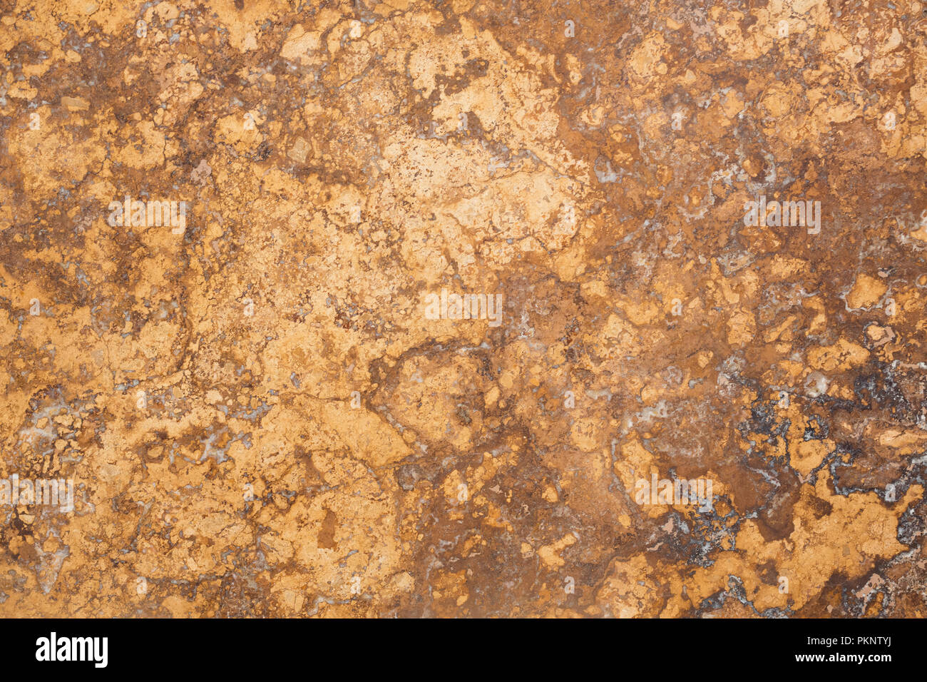 Expensive travertine texture for your elegant interior Stock Photo Alamy