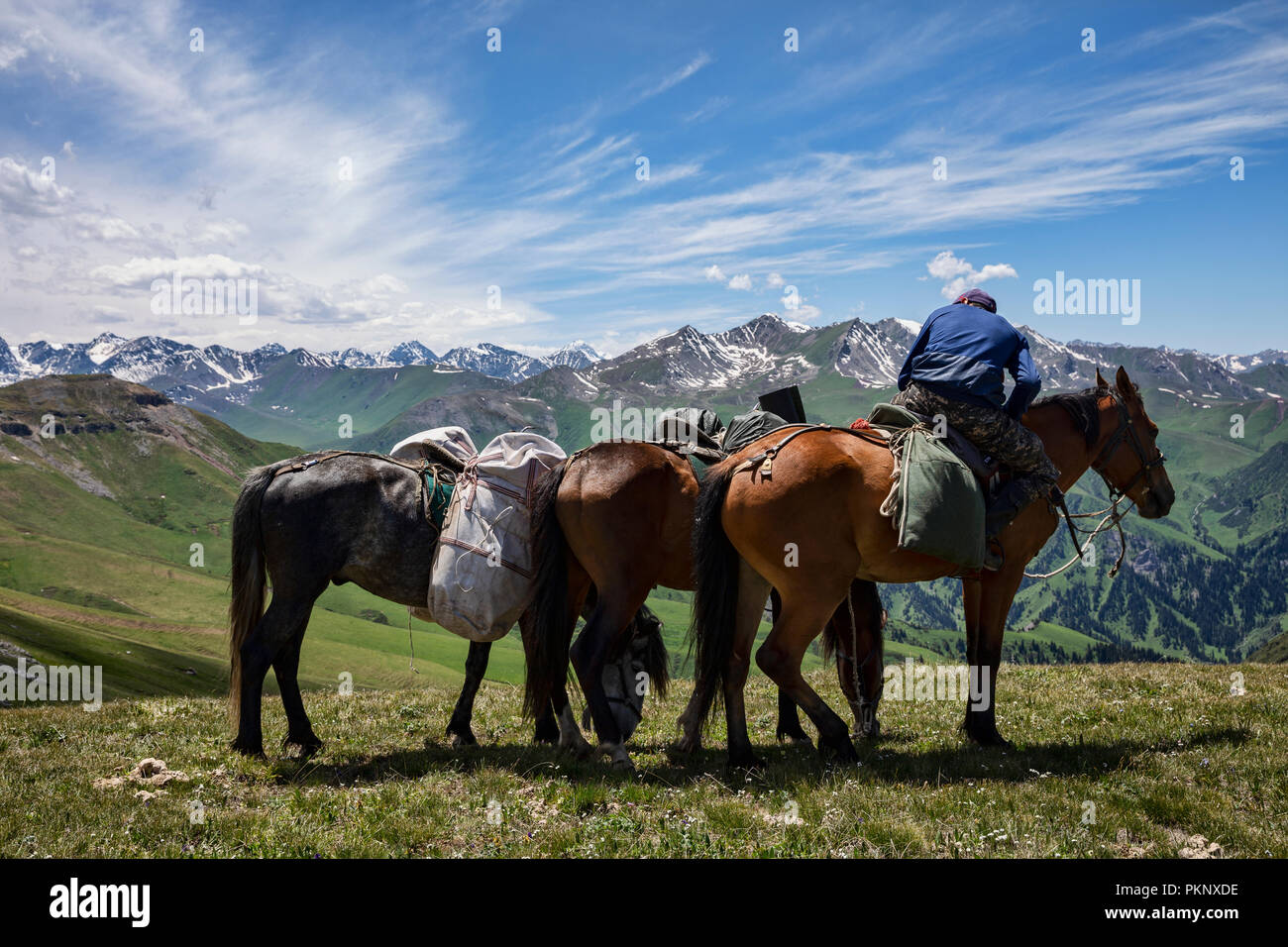 Kyrgyz horseman framed by Terskey Ala-Too mountain range, Keskenkyia Loop trek, Jyrgalan, Kyrgyzstan Stock Photo