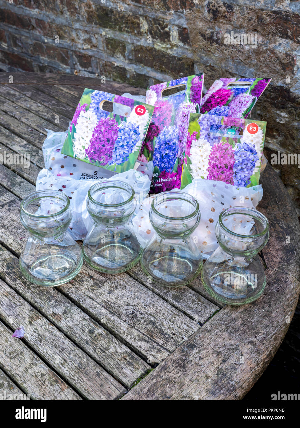 A selection of hyacinth bulbs for forcing in hyacinth vases ready to be cultivated in time for Christmas Stock Photo