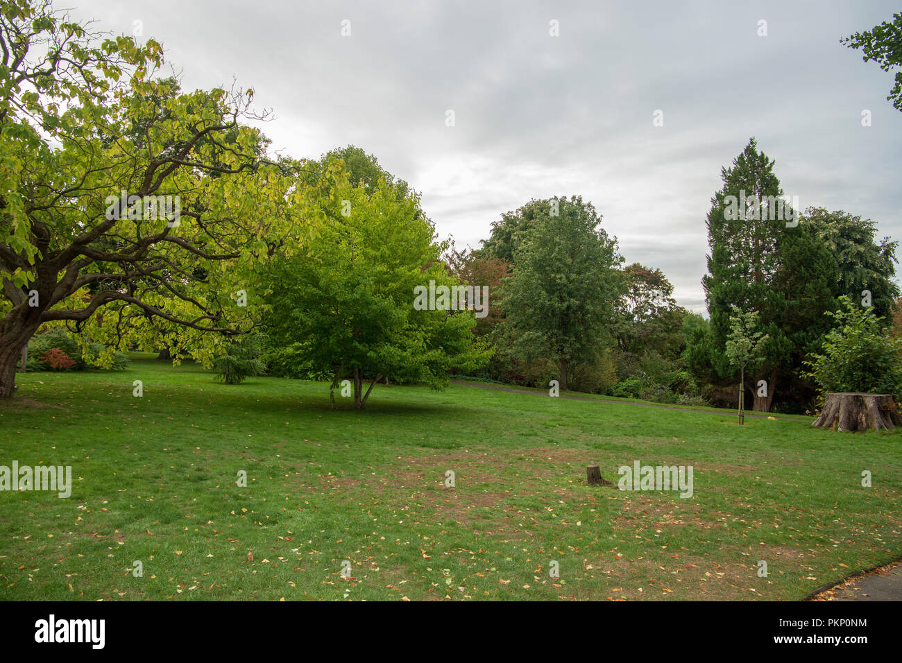 Bath Botanical Gardens, Bath and North East Somerset Stock Photo Alamy