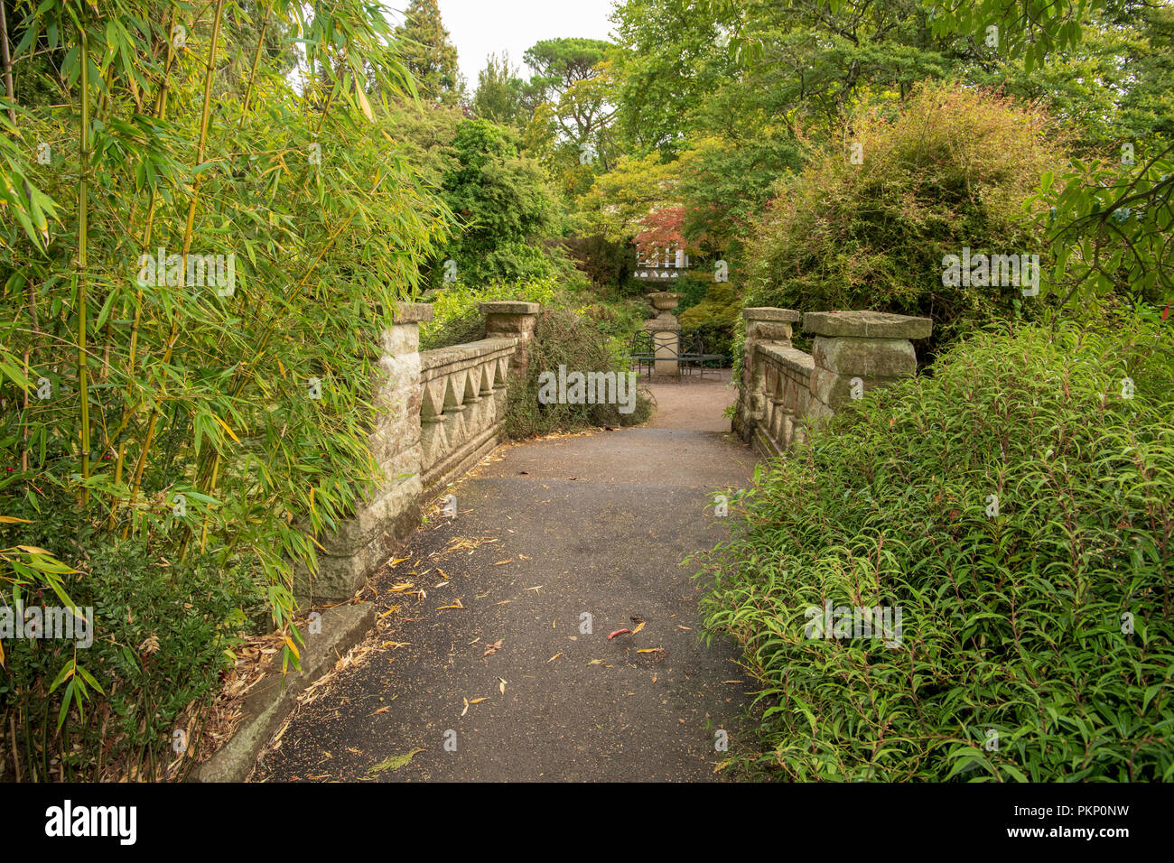 Bath Botanical Gardens, Bath and North East Somerset Stock Photo - Alamy