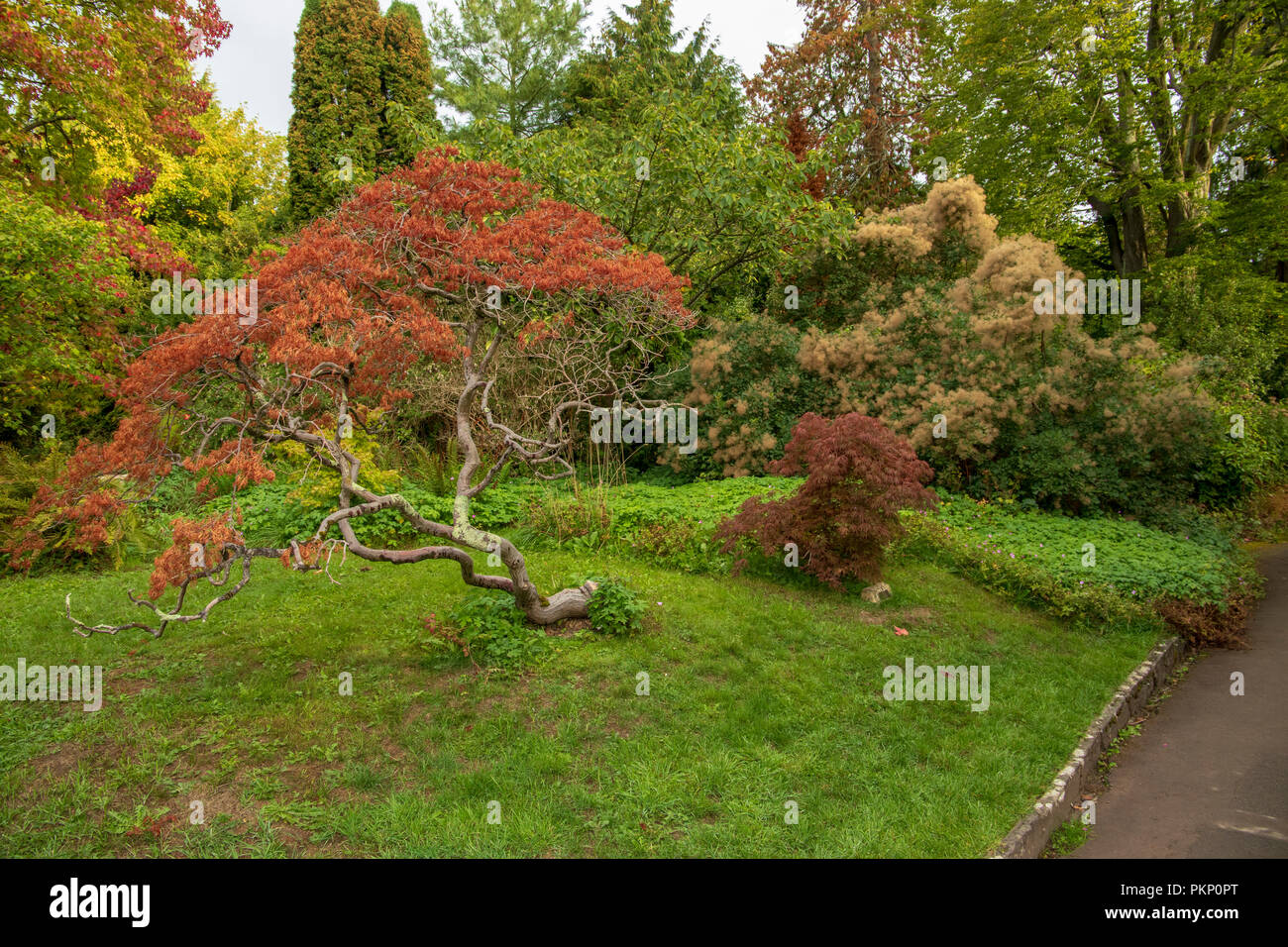 Bath Botanical Gardens, Bath and North East Somerset Stock Photo Alamy