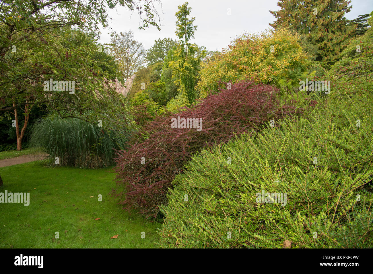 Bath Botanical Gardens, Bath and North East Somerset Stock Photo Alamy