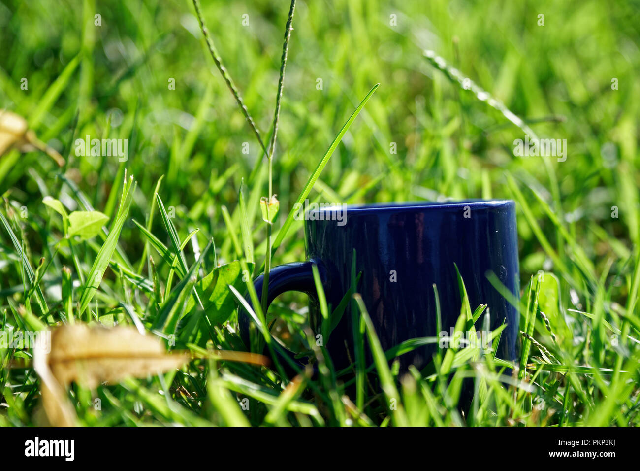 Empty tea cup stands on green grass Stock Photo Alamy