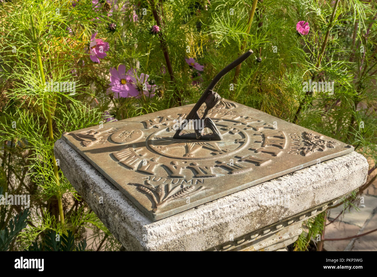 A garden sundial with cosmos plant behind Stock Photo