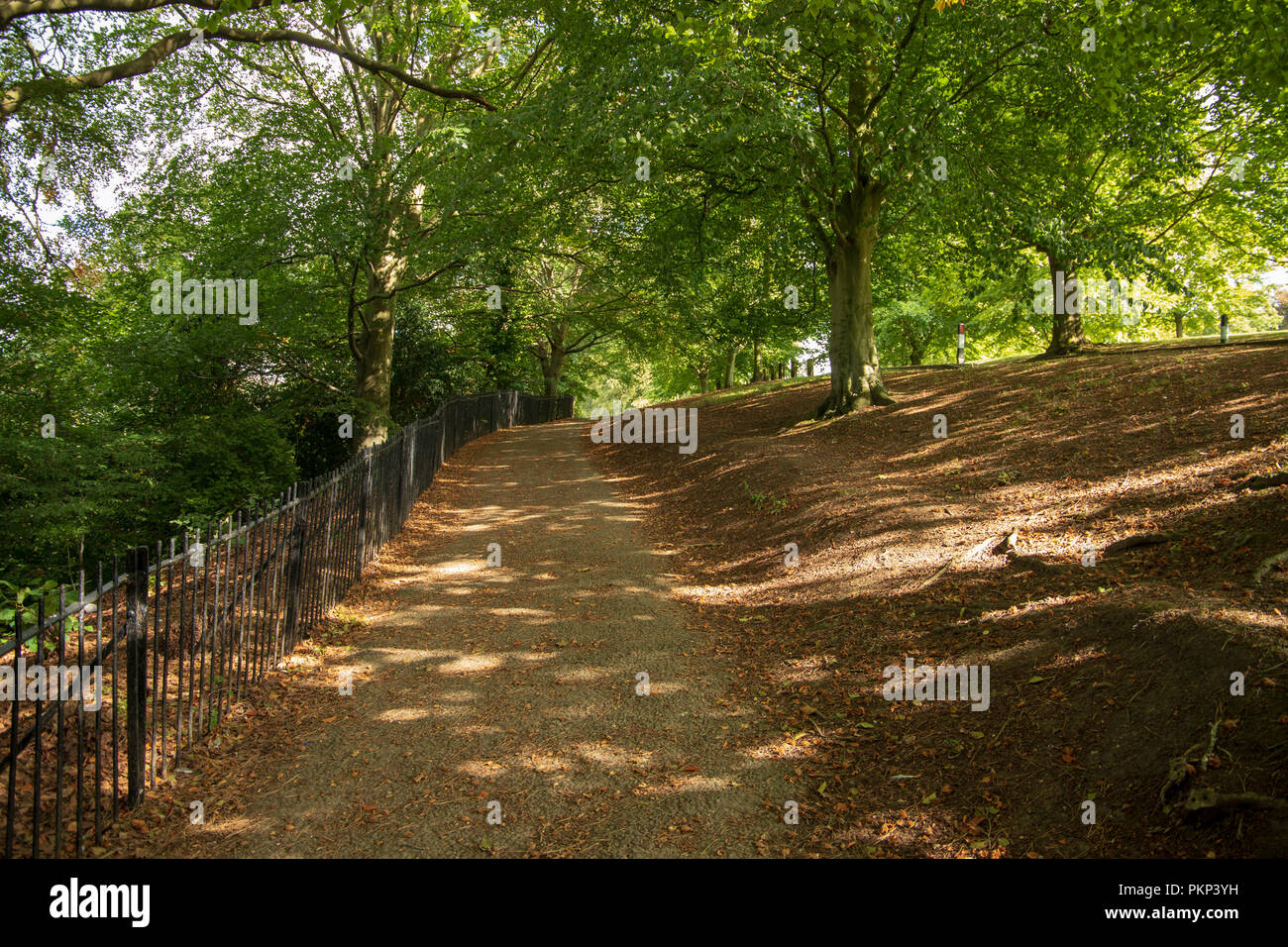Pathway Between the two View Points at Alexandra Park, Bath , England Stock Photo Alamy
