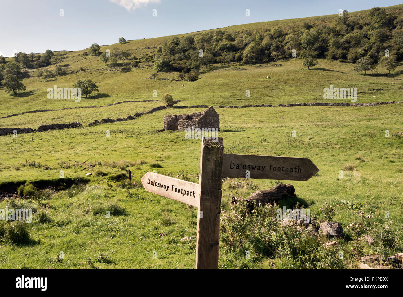 'The Dales Way' long distance footpath near Starbotton, Wharfedale, in the Yorkshire Dales National Park, UK. Stock Photo