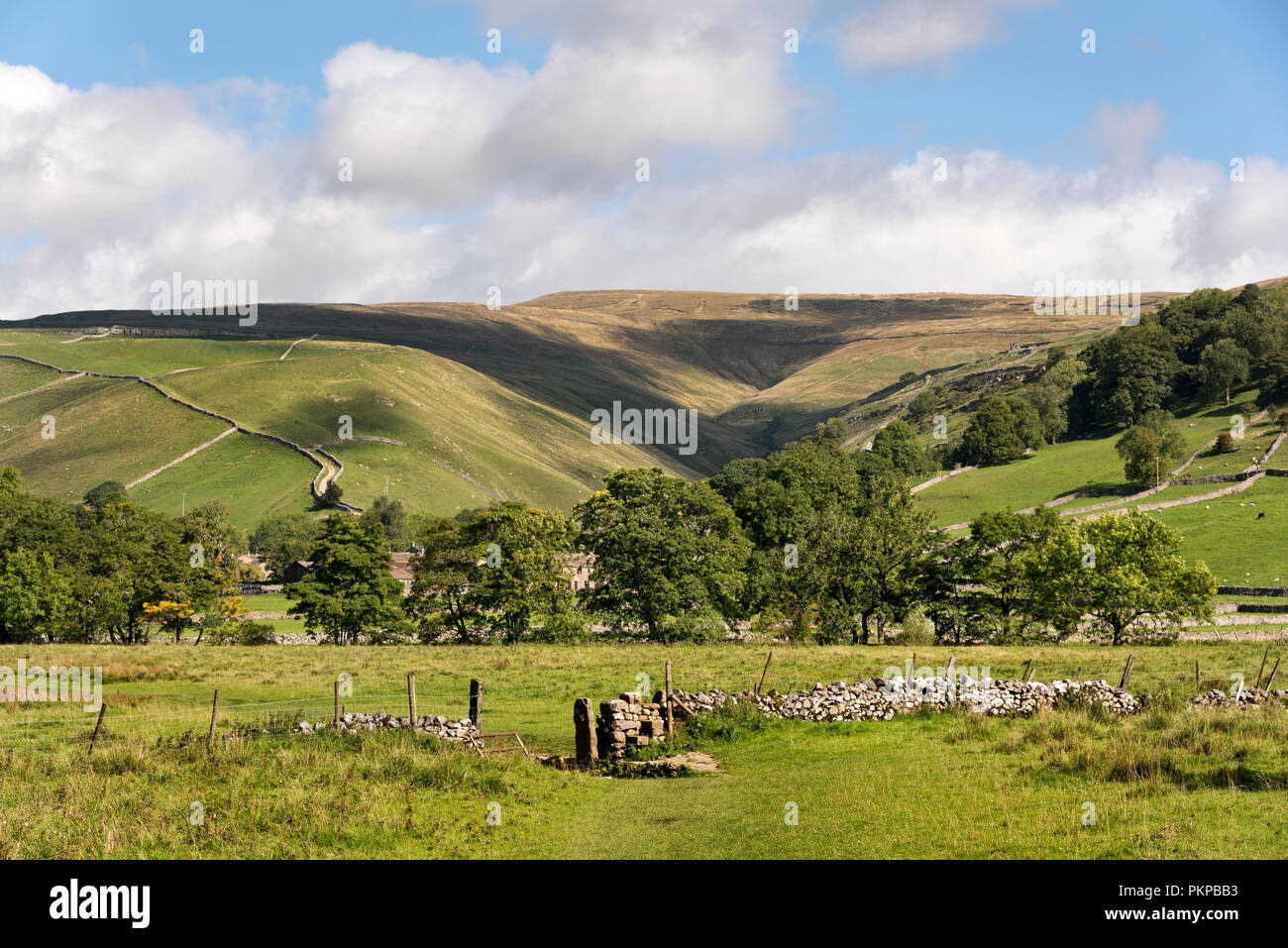 'The Dales Way' long distance footpath near Starbotton, Wharfedale, in the Yorkshire Dales National Park, UK. Buckden Park is on the horizon. Stock Photo