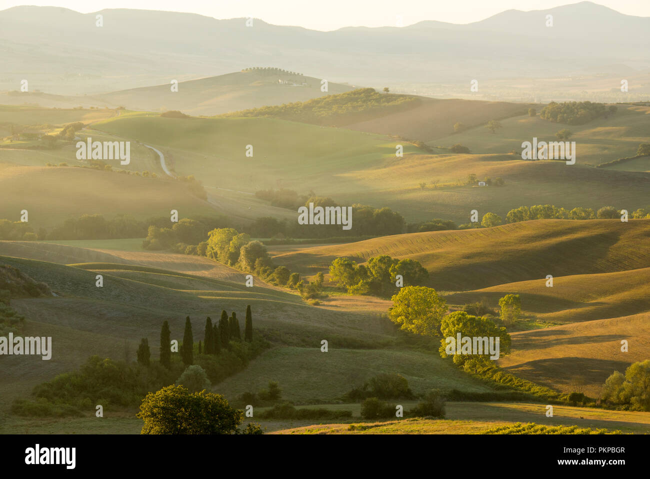 Misty morning at the famous Podere Belvedere in Val d'Orcia in Tuscany ...