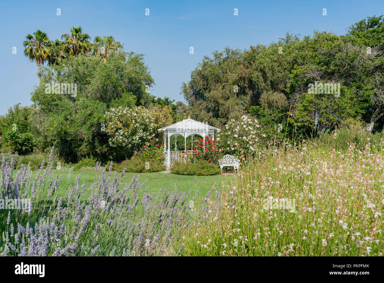 Kisok and flower blossom South Coast Botanic Garden at Los Angeles, California Stock Photo