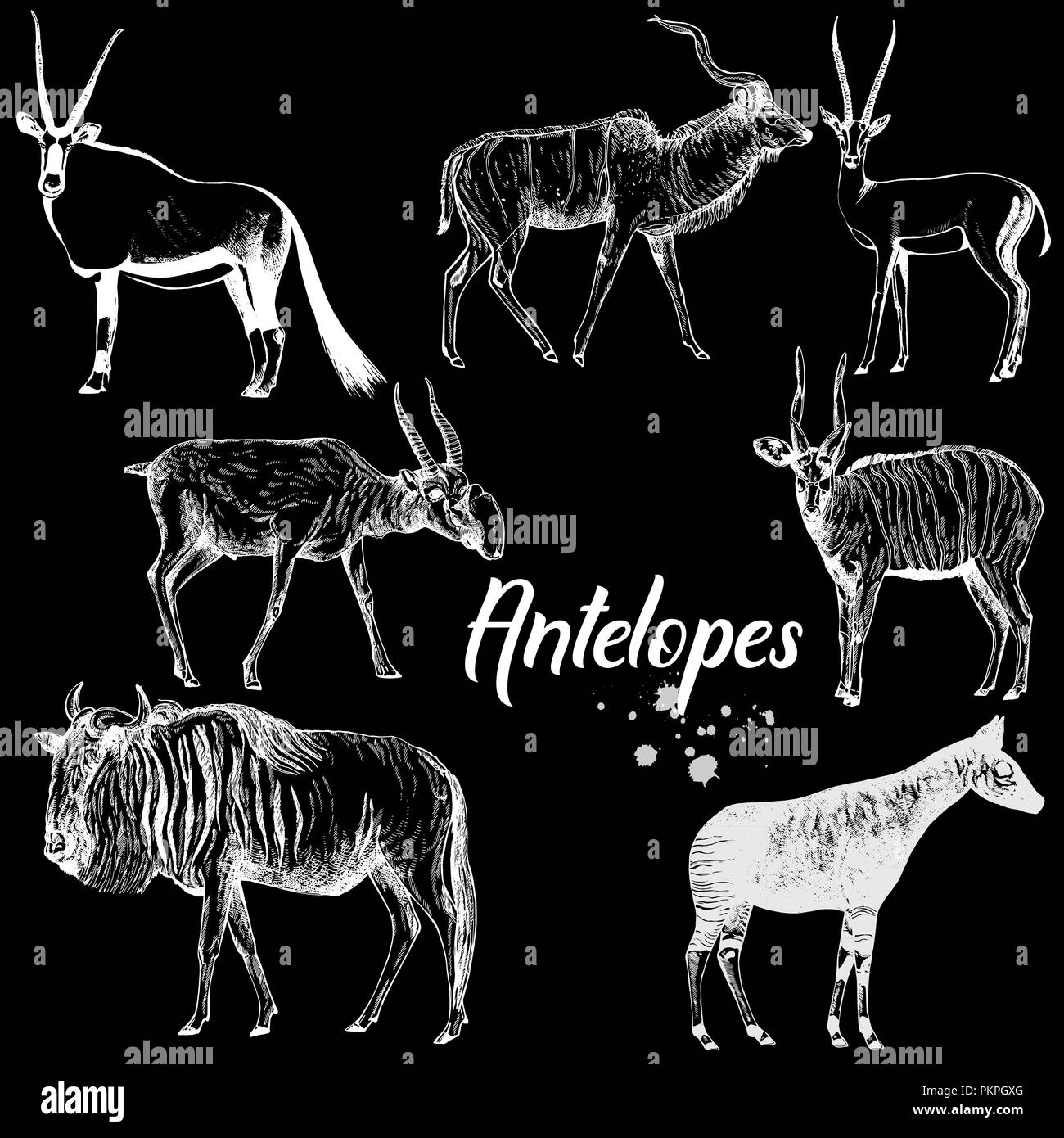 Set of hand drawn sketch style antelopes isolated on black background