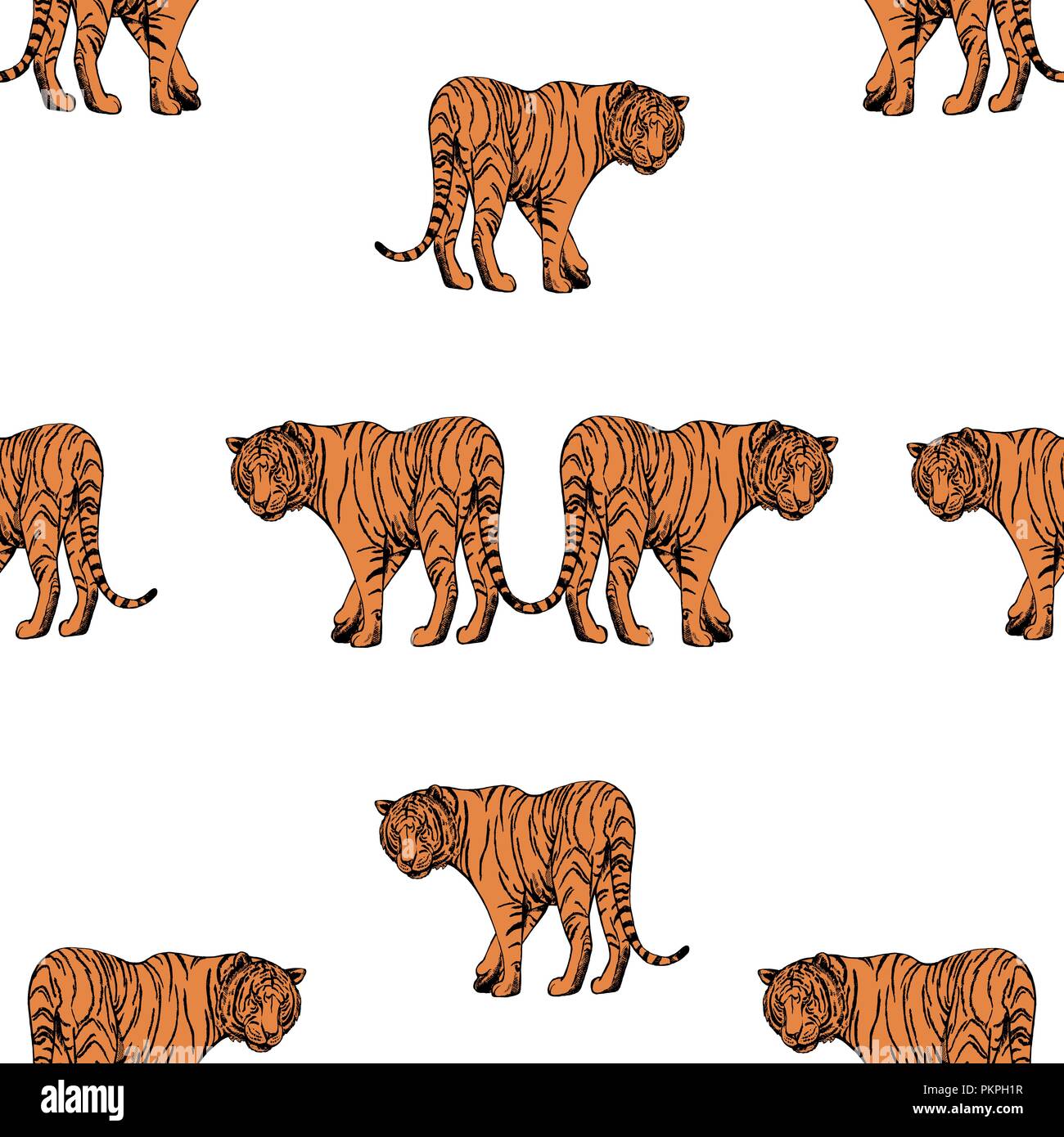 Seamless pattern of hand drawn sketch style tigers. Vector illustration ...